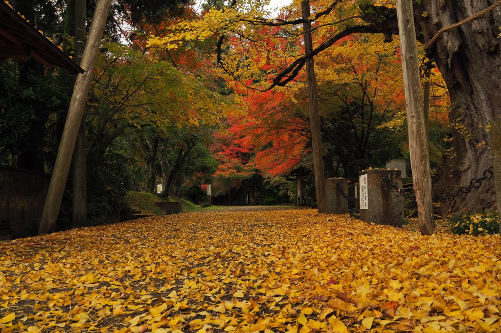 氷見上日寺　①
