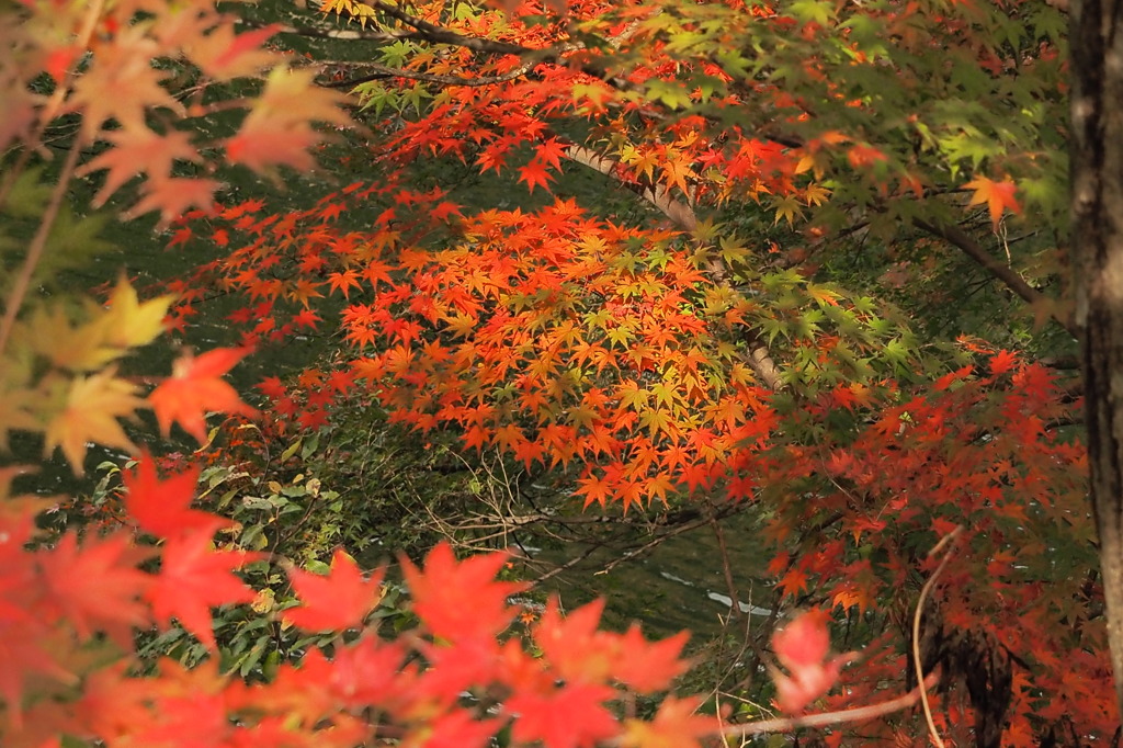 高岡古城公園　②