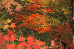 高岡古城公園　②