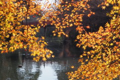 古城公園　②