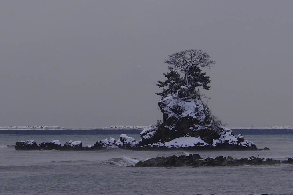 雪の雨晴