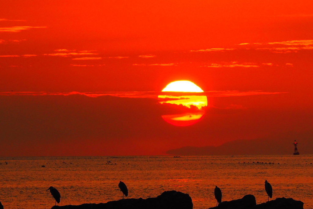 ダルマショーお終い