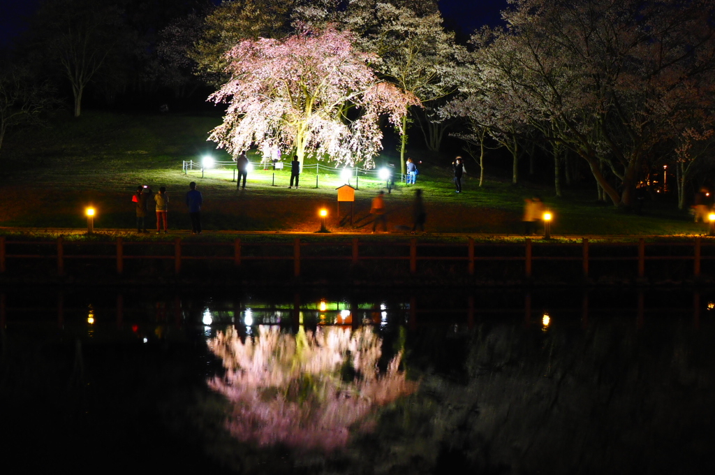 呉羽山公園ライトアップ