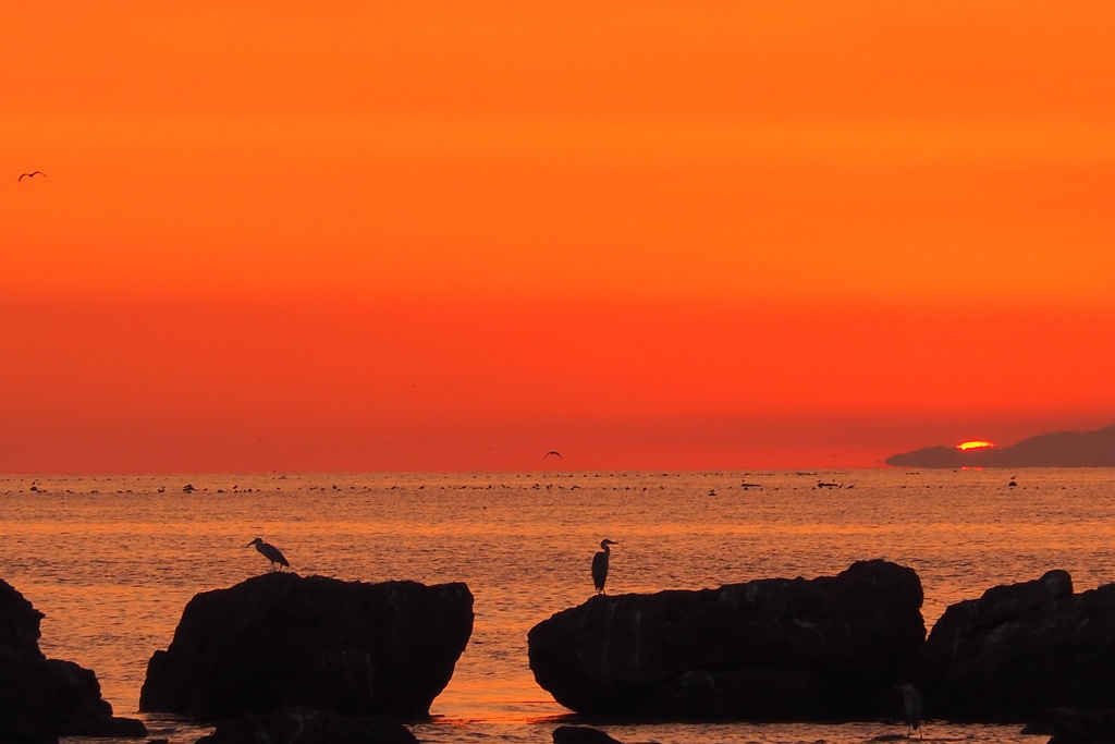 今朝の日の出　②