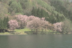 中綱湖に行って来ました。　其の三
