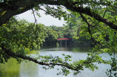 高岡古城公園　①