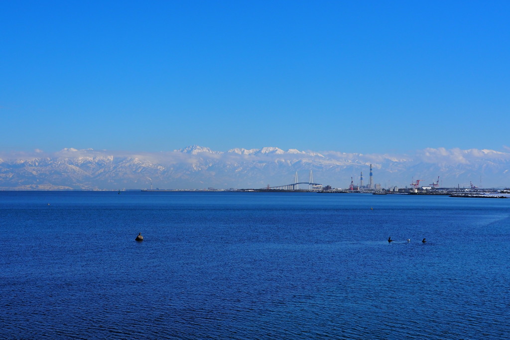 万葉埠頭緑地　②