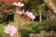 民族民芸村　③