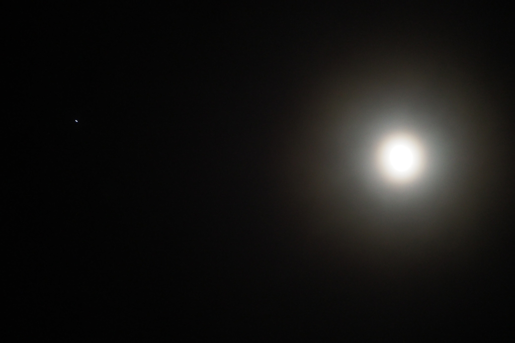 朧月夜　③