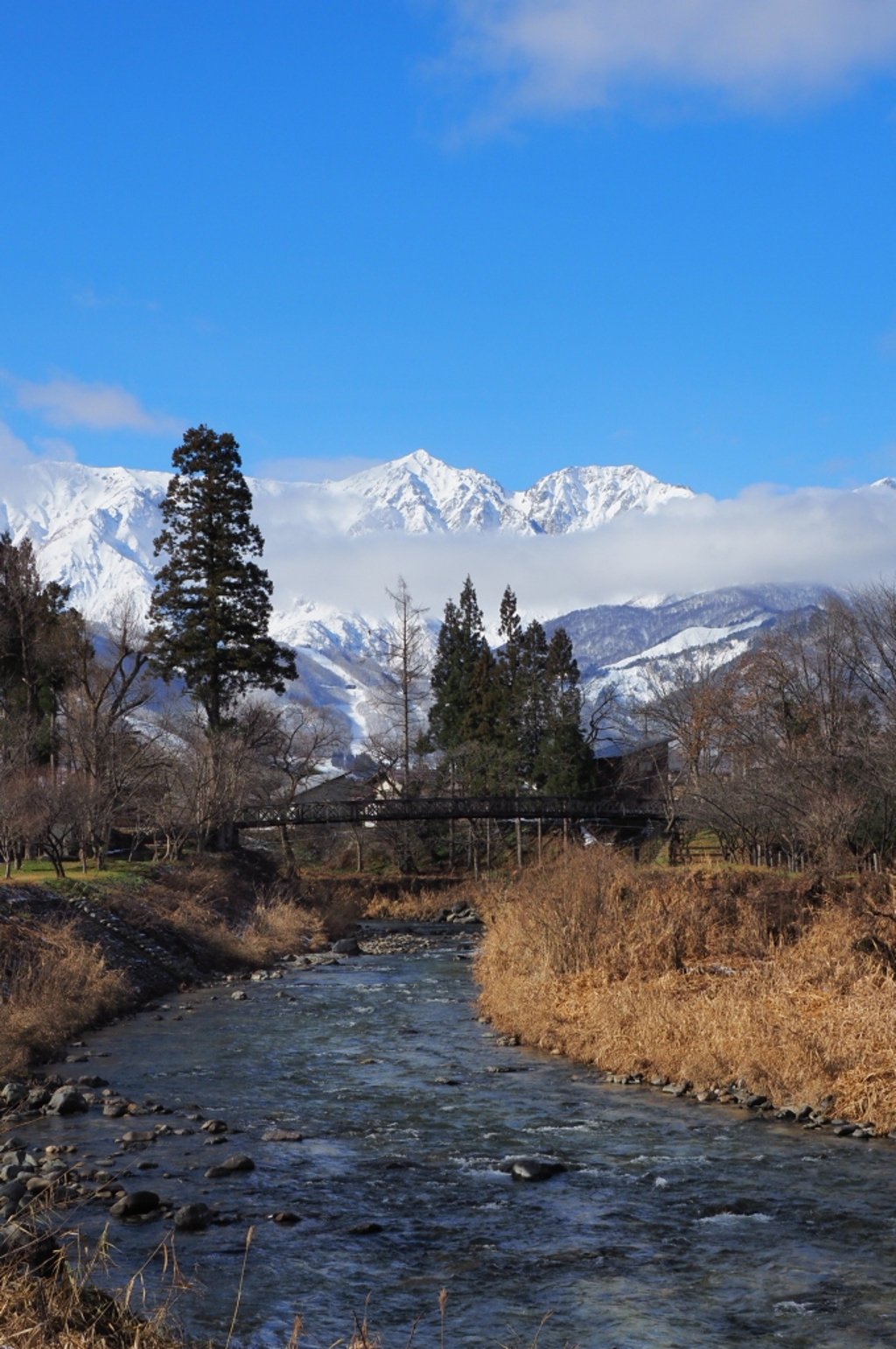 白馬大出公園