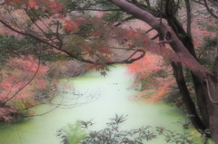 高岡古城公園　①