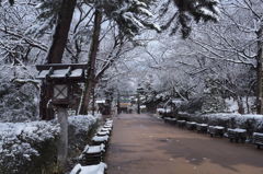 高岡古城公園　③