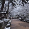 高岡古城公園　③
