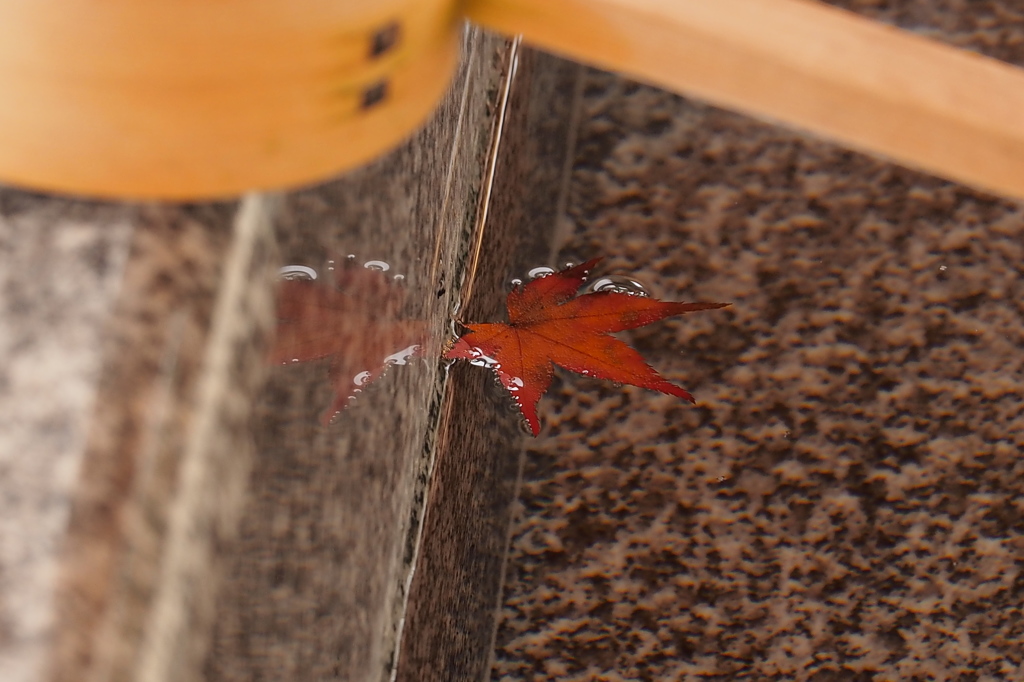 高岡古城公園　①