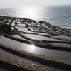 輪島白米千枚田　①