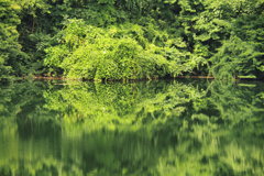 子撫川ダム　③