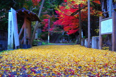 氷見上日寺の朝　①