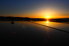 夕陽を追いかけて