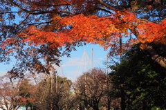 古城公園　①