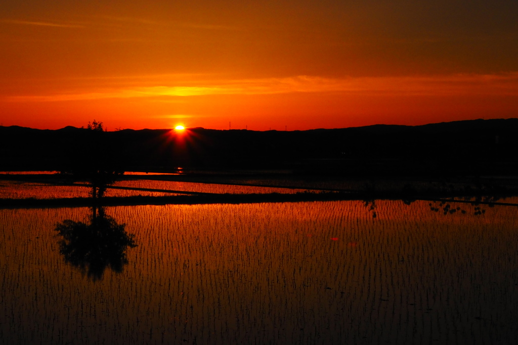 茜色の夕陽