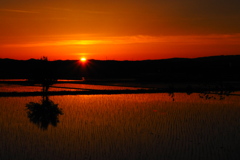 茜色の夕陽