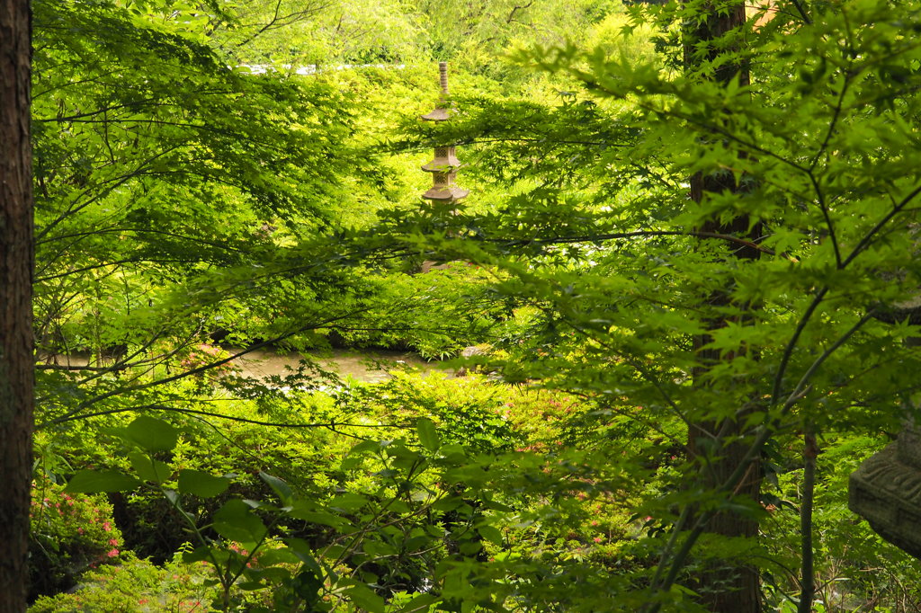 禅寺　②