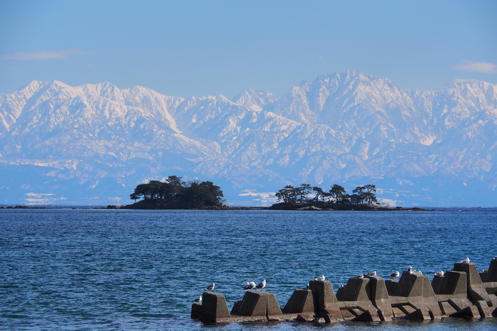 2月8日に輝いて　⑤