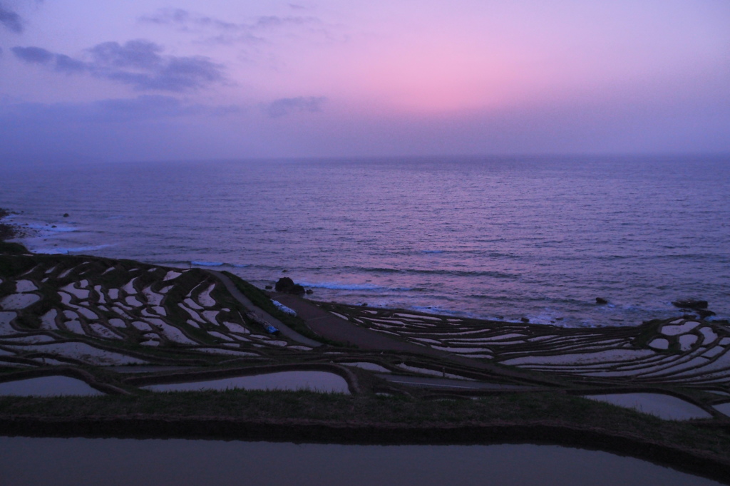 輪島白米千枚田　③