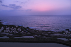 輪島白米千枚田　③