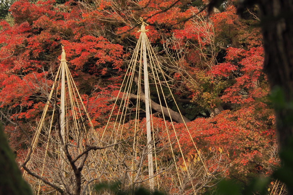 高岡古城公園　③