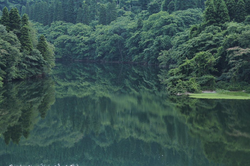 子撫川ダム　①