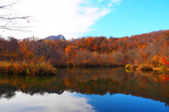 鎌池紅葉　③