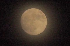 スーパームーン前夜　③