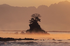 海抜ゼロから始まる　①