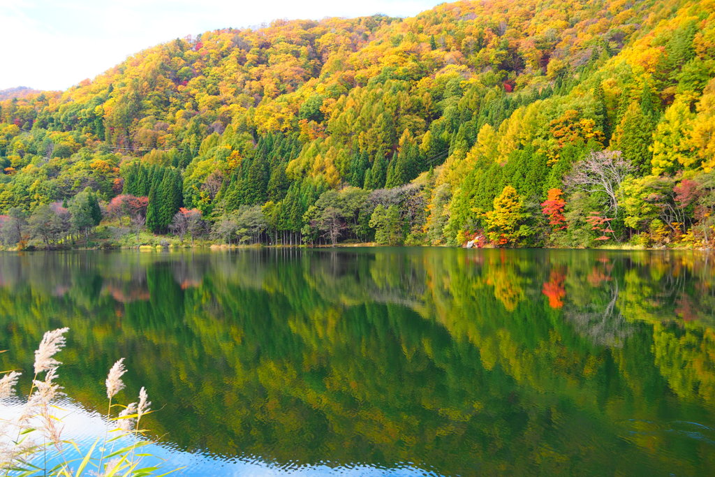 中綱湖紅葉　②