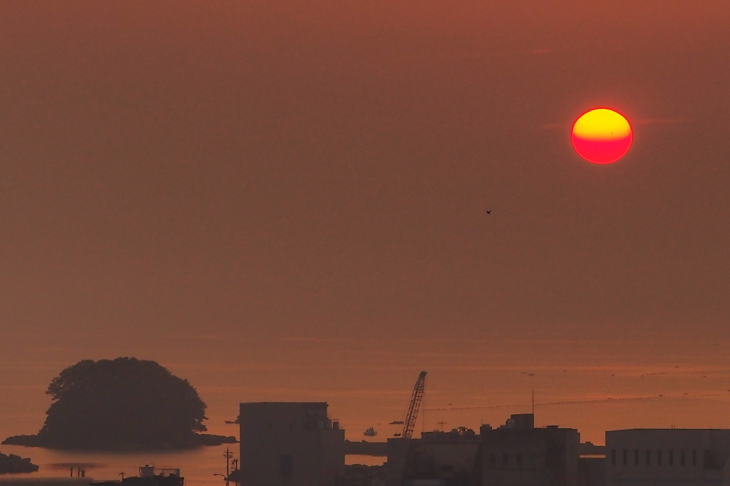 今朝の氷見　③
