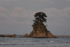 夕陽に　①
