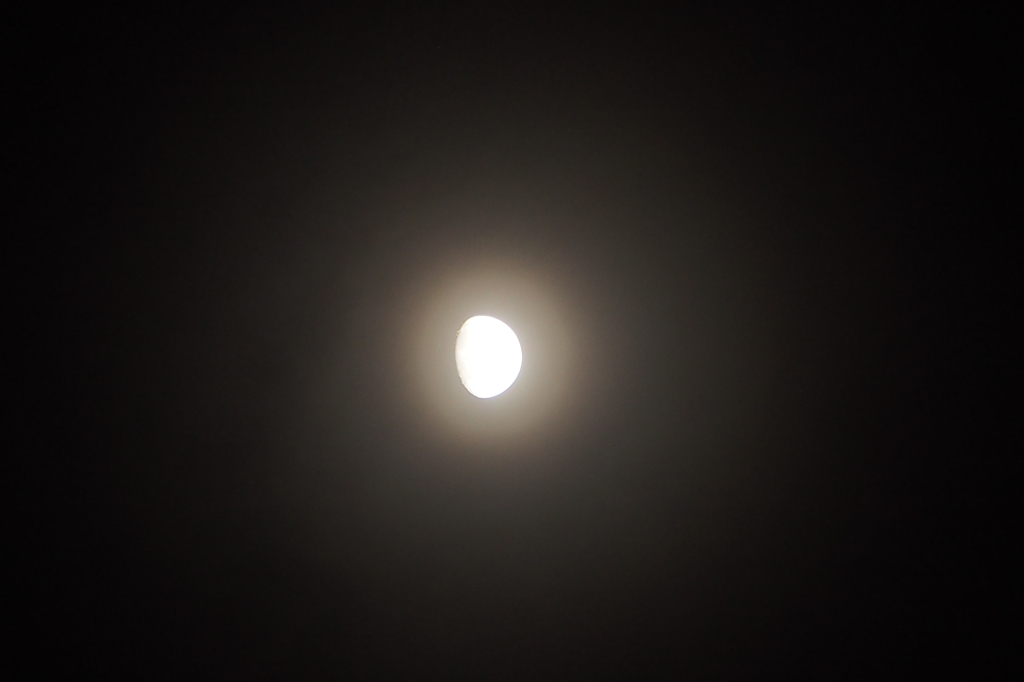 朧月夜　②