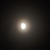 朧月夜　②