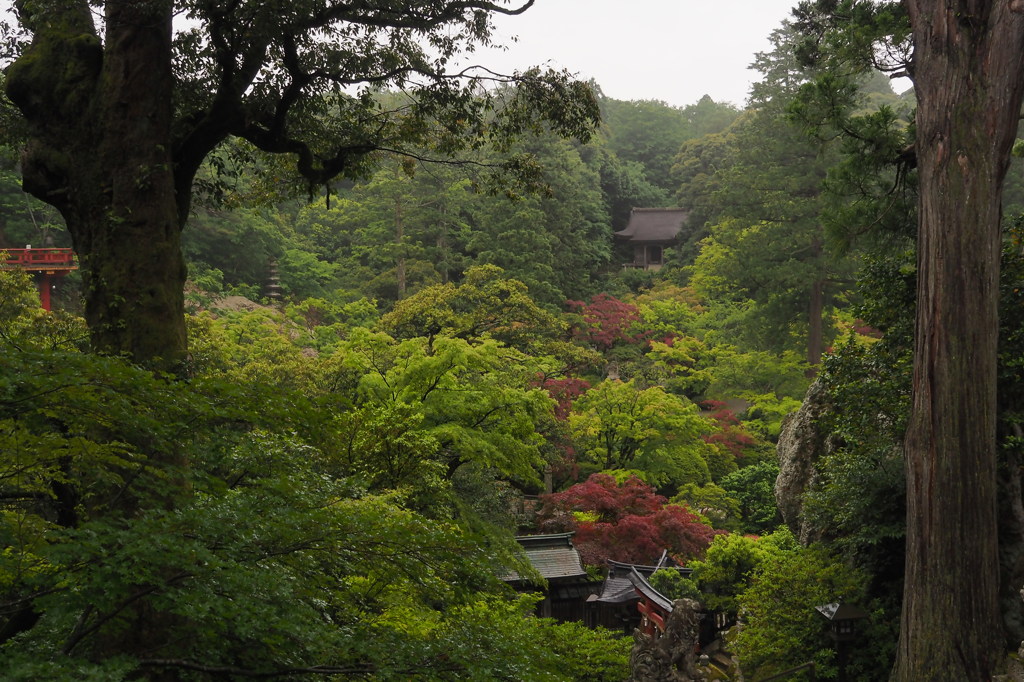 雨の那谷寺　①