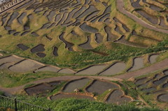 輪島白米千枚田　②
