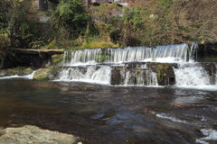 晩秋の宮島峡　③