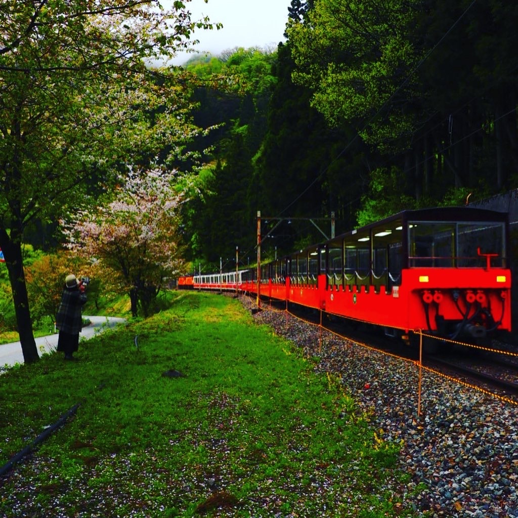 トロッコ列車が行く