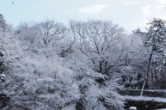 高岡古城公園　①