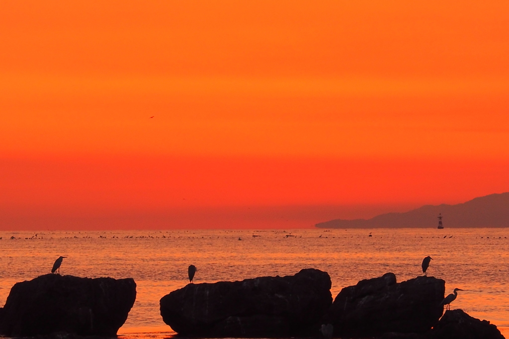 今朝の日の出　①