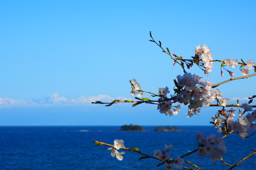 虻が島越しに見る剱岳