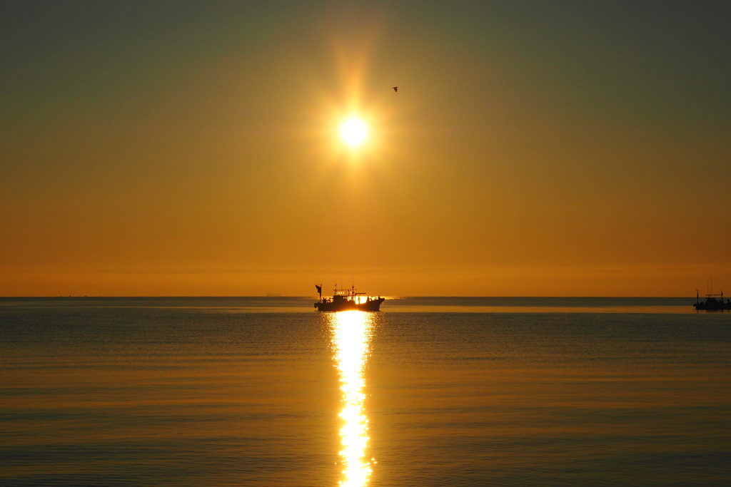 夏の海