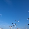 空へ