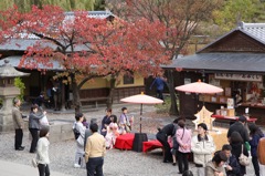 ある七五三の情景