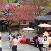 ある七五三の情景